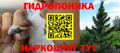мяу мяу мука Донской