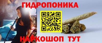 СК Донецк