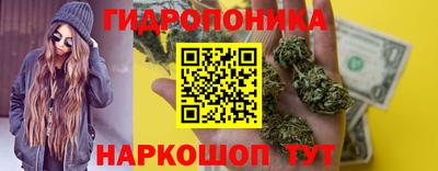 СК Донецк